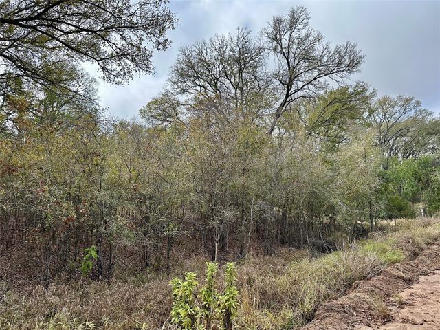 104 E Waiehu LN, Bastrop, TX 78602