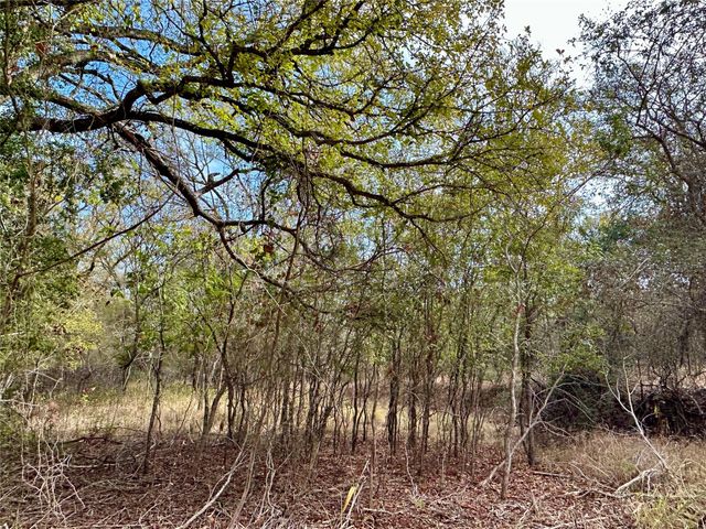 104 E Waiehu LN, Bastrop, TX 78602