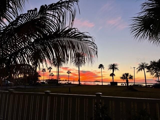 220 LYNDHURST STREET, Dunedin, FL 34698