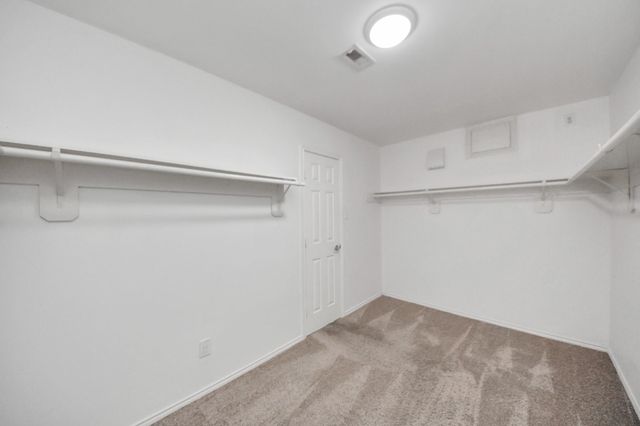 16611 Gentle Stone Drive, Houston, TX 77095