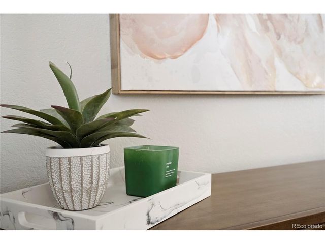 250 N pearl 206, Denver, CO 80203