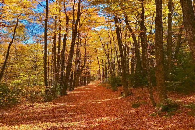 3800 Weston Andover Road, Andover, VT 05143