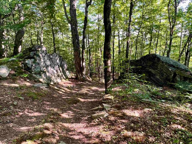 3800 Weston Andover Road, Andover, VT 05143