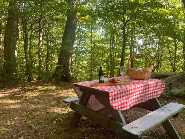 3800 Weston Andover Road, Andover, VT 05143