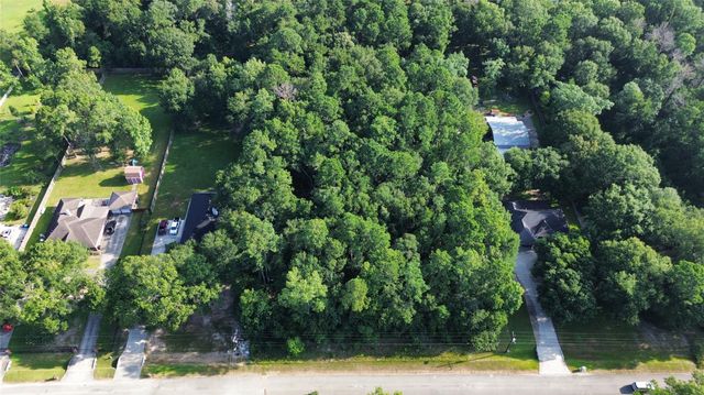 19353 Elbe Drive, Porter, TX 77365