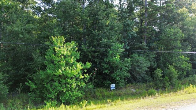 19353 Elbe Drive, Porter, TX 77365