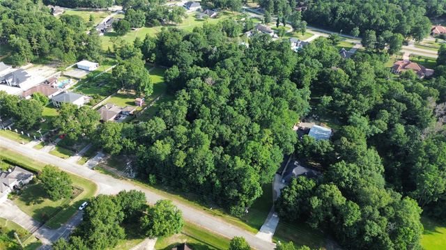 19353 Elbe Drive, Porter, TX 77365