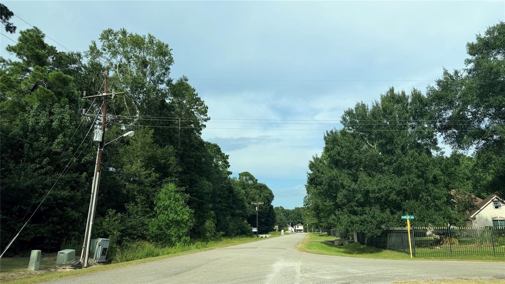 19353 Elbe Drive, Porter, TX 77365