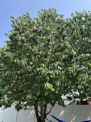 804 JOHN STREET, Menasha, WI 54952