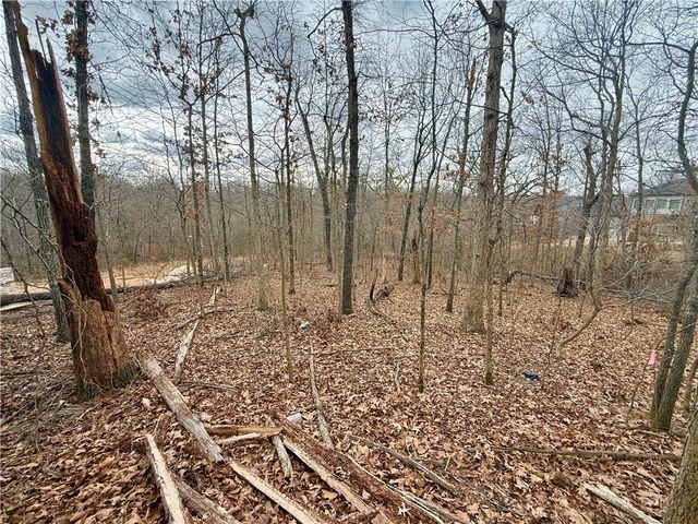 Meshaw Circle, Bella Vista, AR 72714