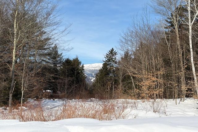 2366 Mountain Rd Apt 4, Stowe, VT 05672