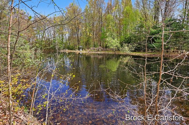 16944 136th Avenue, Nunica, MI 49448