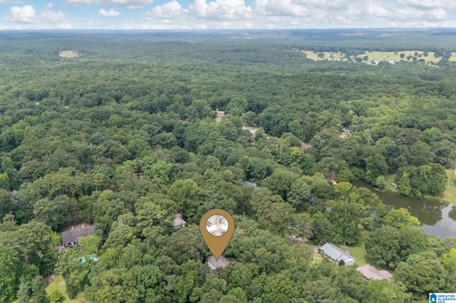 2133 LAKESIDE DRIVE, Mccalla, AL 35111