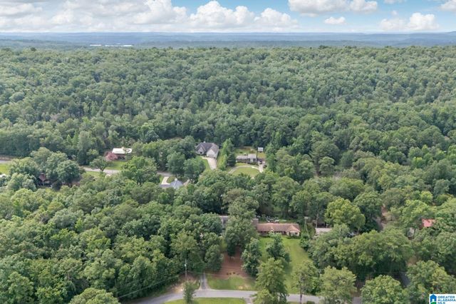 2133 LAKESIDE DRIVE, Mccalla, AL 35111