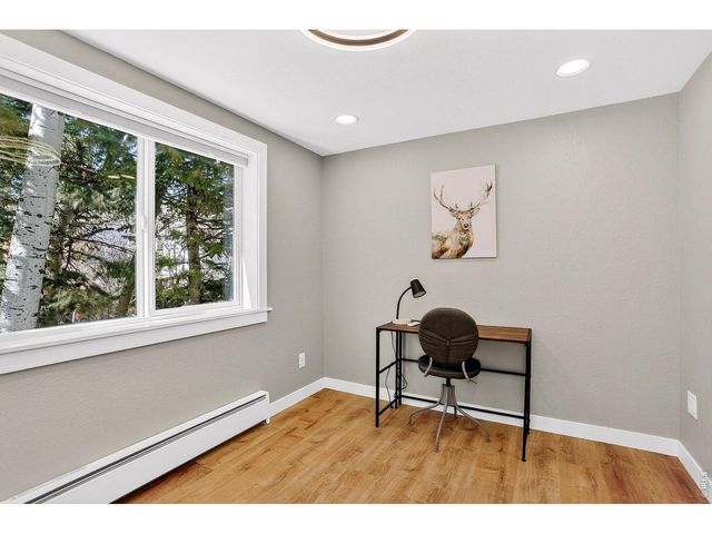 11826 Brook Rd, Golden, CO 80403