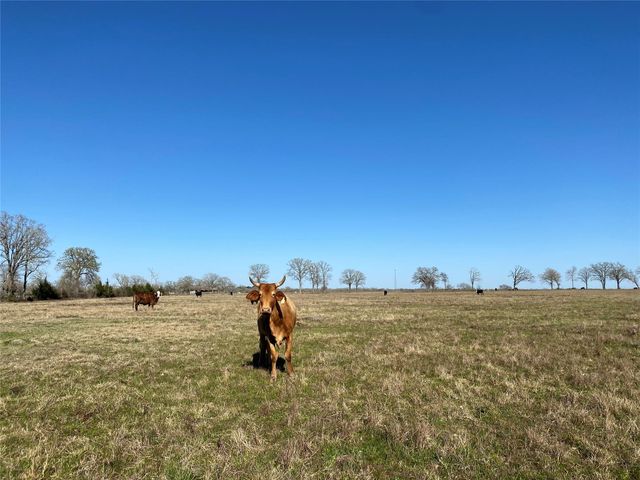 13.5 Acres Hwy 30, Bedias, TX 77831