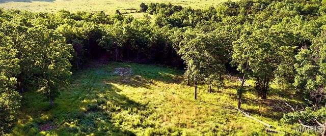 10704 Belle Road, Crocker, MO 65452