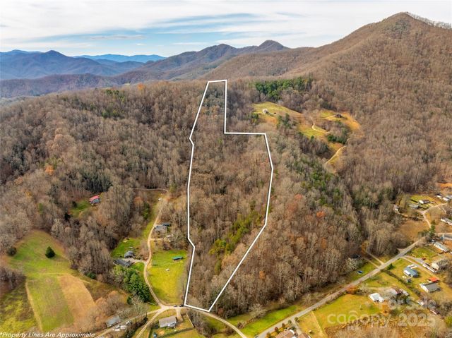 99999 Bay Horse Trail, Candler, NC 28715