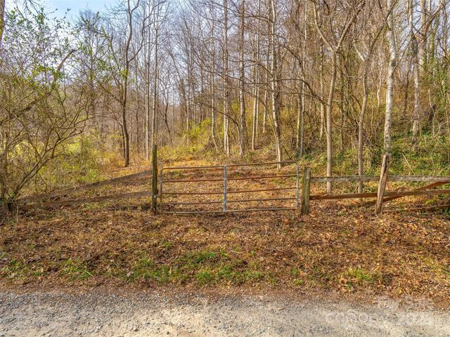 99999 Bay Horse Trail, Candler, NC 28715