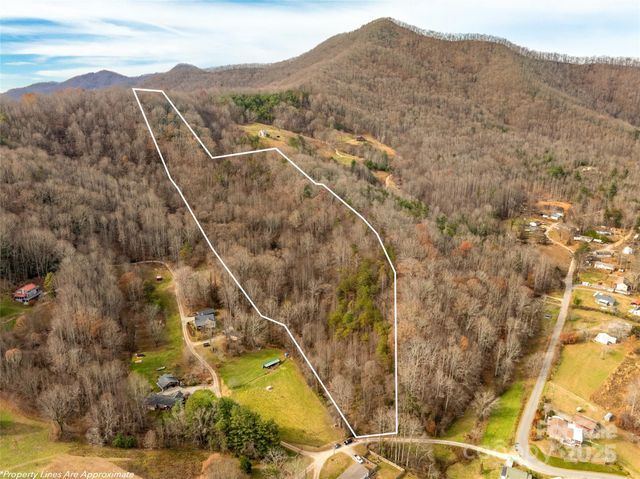 99999 Bay Horse Trail, Candler, NC 28715