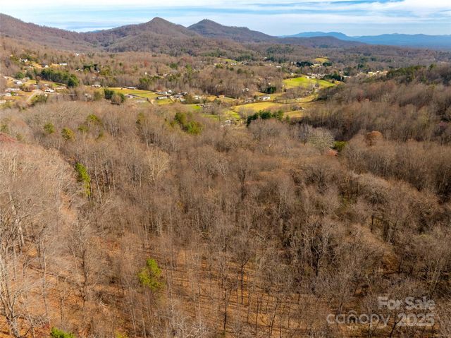 99999 Bay Horse Trail, Candler, NC 28715