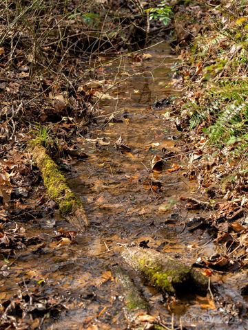 99999 Bay Horse Trail, Candler, NC 28715