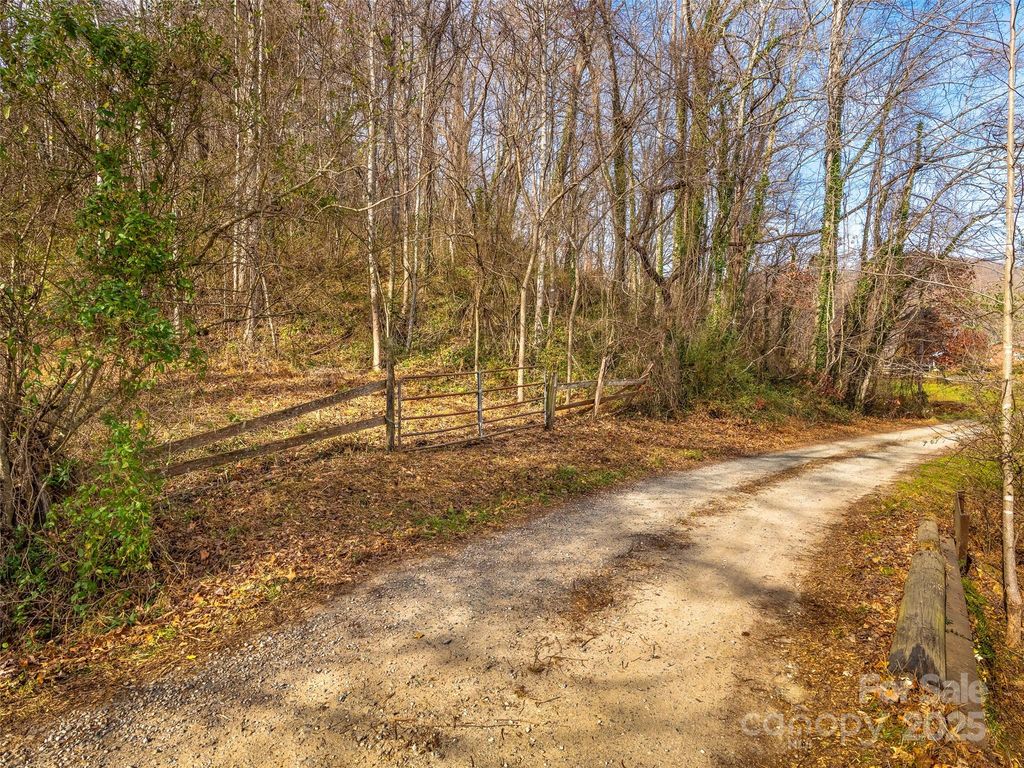 99999 Bay Horse Trail, Candler, NC 28715