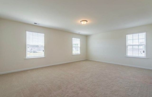 1056 Red Turnstone Run, Summerville, SC 29485