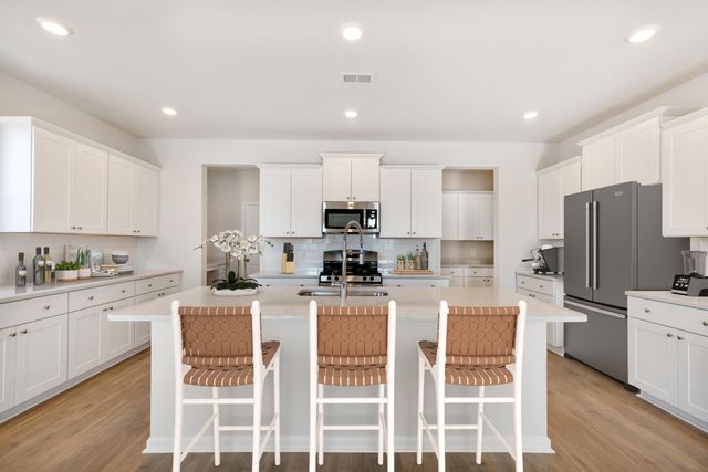 1056 Red Turnstone Run, Summerville, SC 29485