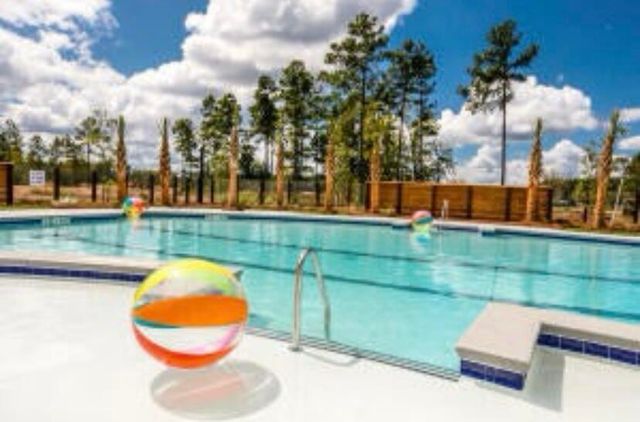 1056 Red Turnstone Run, Summerville, SC 29485