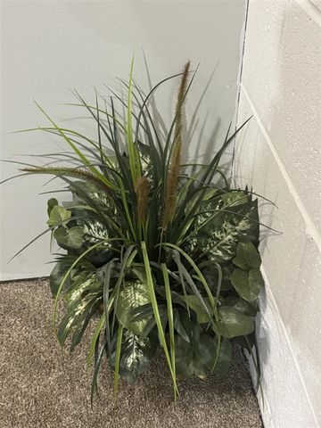 556 E Barney Avenue, Muskegon, MI 49444