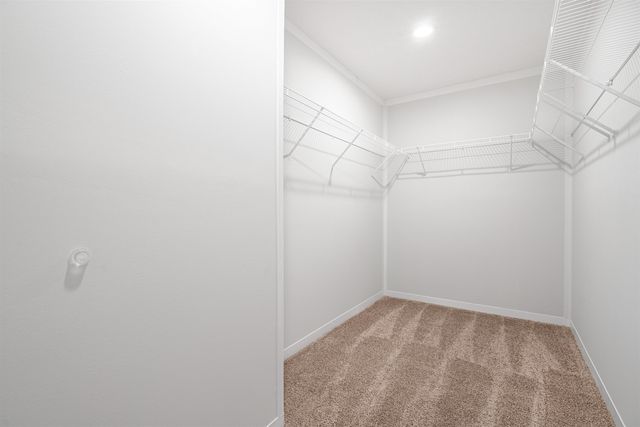 820 S Midway Hwy., Johnsonville, SC 29555