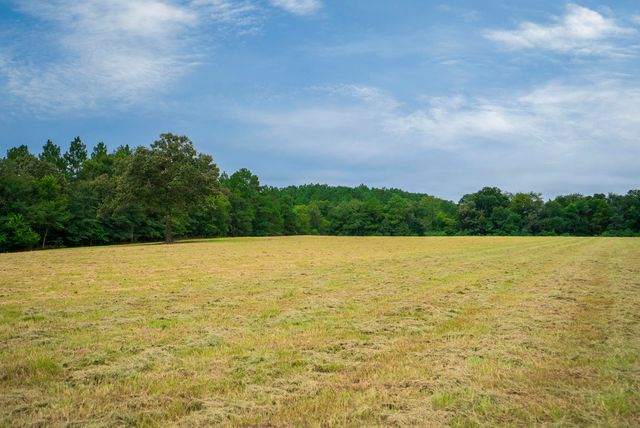 0000 Cedar Creek Road, Wagener, SC 29164