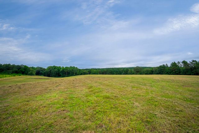 0000 Cedar Creek Road, Wagener, SC 29164