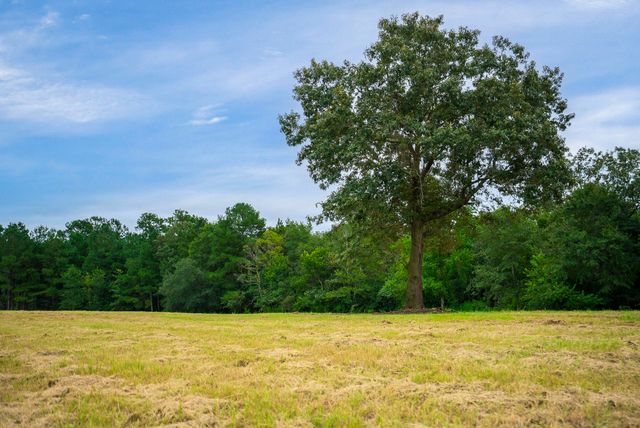 0000 Cedar Creek Road, Wagener, SC 29164