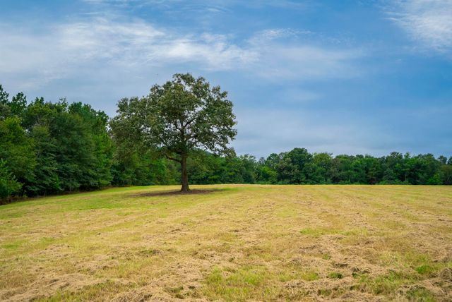 0000 Cedar Creek Road, Wagener, SC 29164