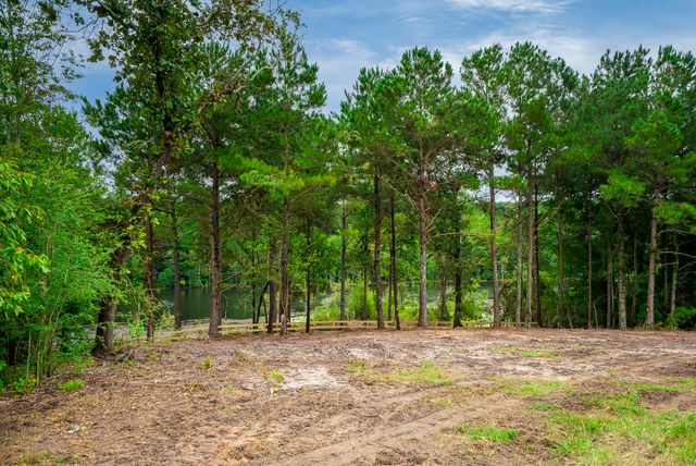 0000 Cedar Creek Road, Wagener, SC 29164