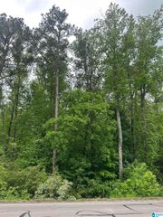 0 HIGHWAY 174, Pell City, AL 35125