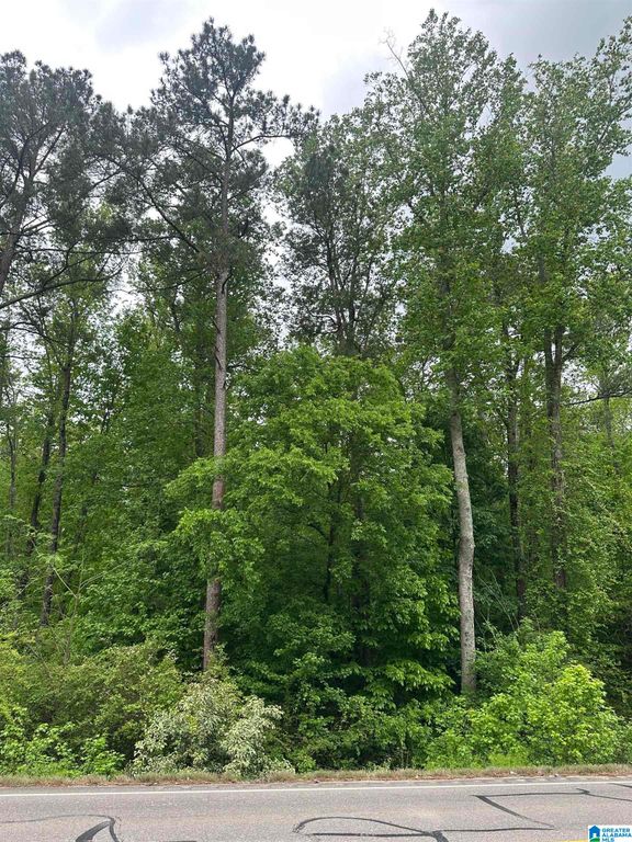0 HIGHWAY 174, Pell City, AL 35125