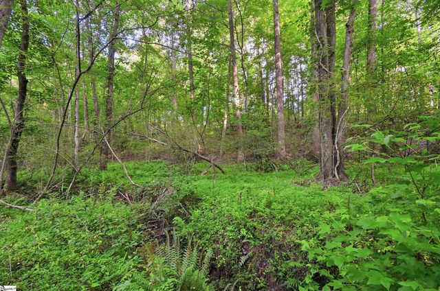 224 Two Notch Trail, Easley, SC 29642