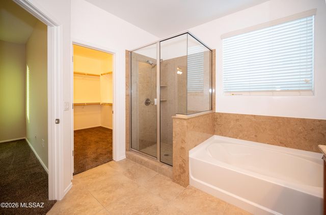 12047 N Golden Mirror Drive, Marana, AZ 85658