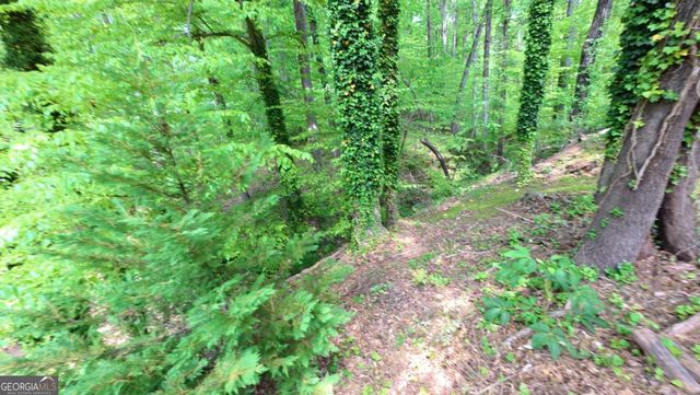 6351 Blackjack Road, Flowery Branch, GA 30542