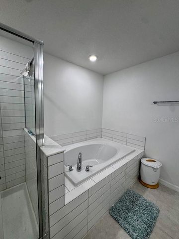 10352 LAVENDER ASTER TRAIL, San Antonio, FL 33576