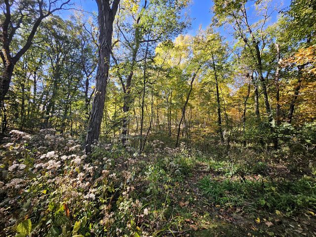 487 Timber Lake Drive, Lowell, IN 46356