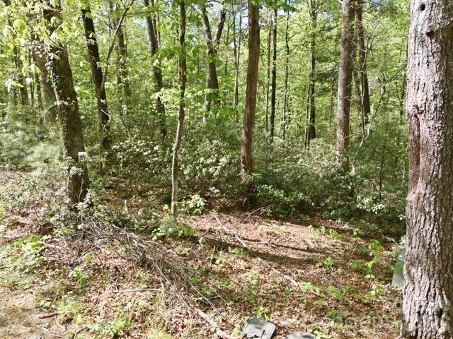 Lot 50 Huntington Road 50, Lake Lure, NC 28746
