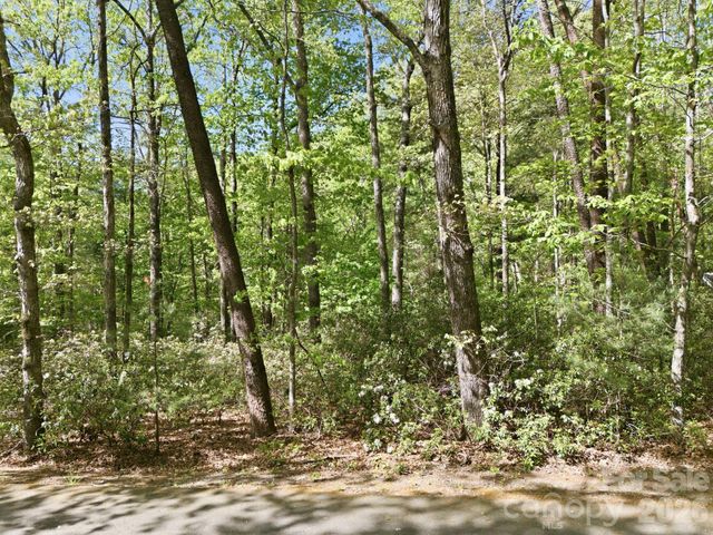 Lot 50 Huntington Road 50, Lake Lure, NC 28746