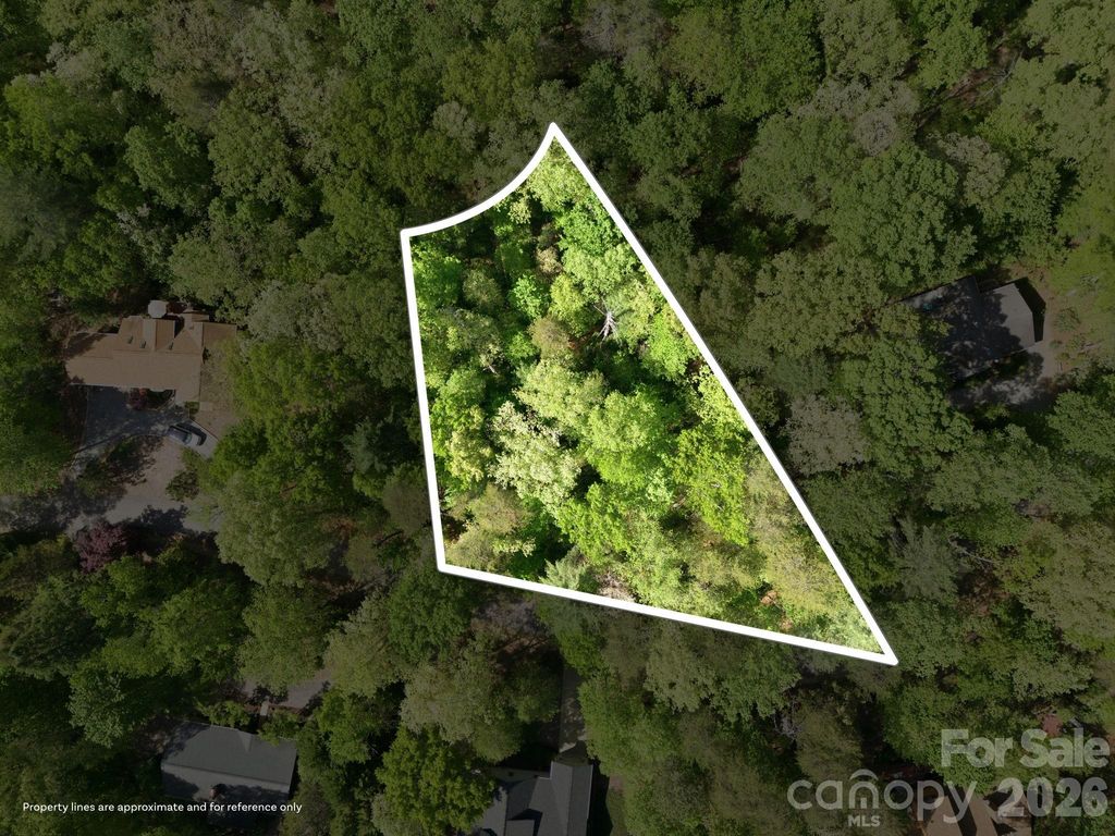 Lot 50 Huntington Road 50, Lake Lure, NC 28746