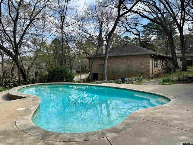 17035 Deer Run Rd, Flint, TX 75762