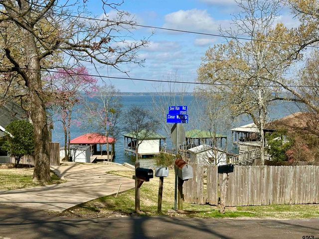 17035 Deer Run Rd, Flint, TX 75762