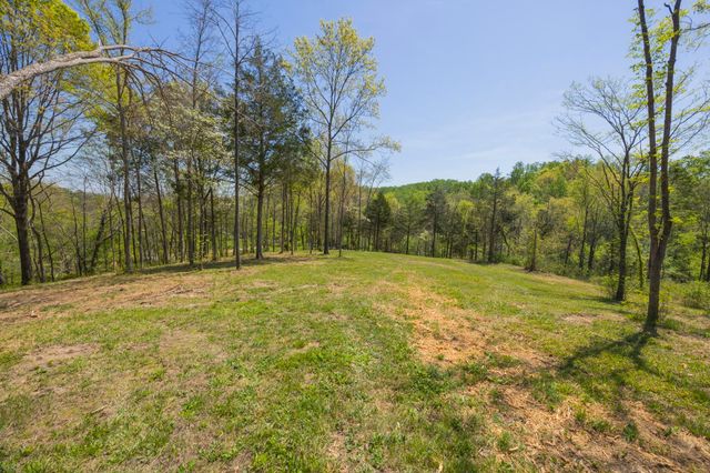 1 Johnson Hollow Road, Thompsons Station, TN 37179